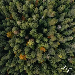 Placat Eco Nel Bosco Campeggio Bossico